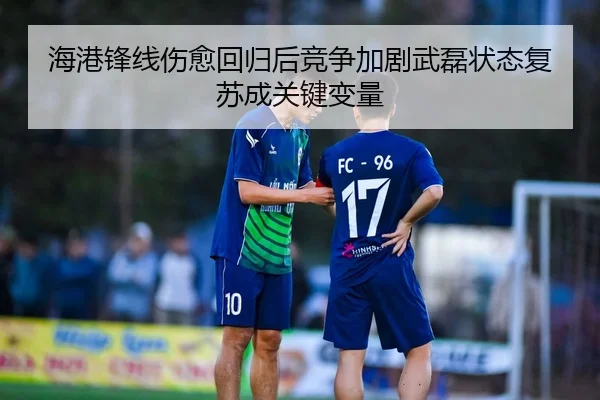 海港锋线伤愈回归后竞争加剧武磊状态复苏成关键变量